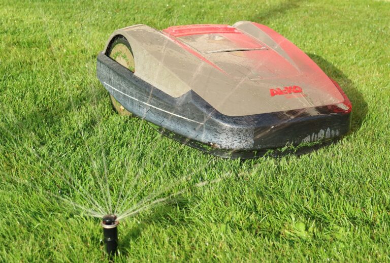 Mähroboter auf nassem Rasen neben einem Sprinkler
